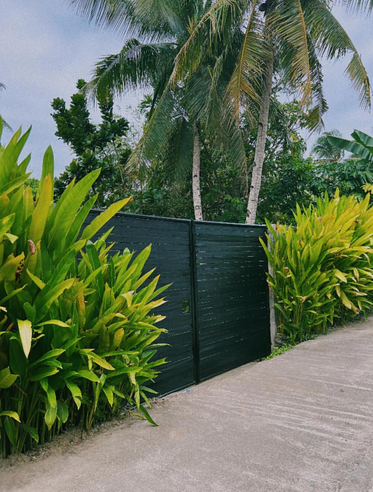Secret Pool Villa Tuason Beach General Luna  Exterior photo